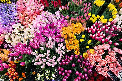 《铁血战士：杀戮之地》新海报曝光 艰难背水一战