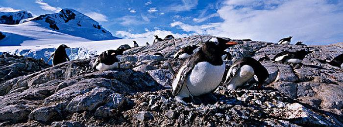 TGA2021颁奖典礼12月10日举行 还会有半小时展前环节